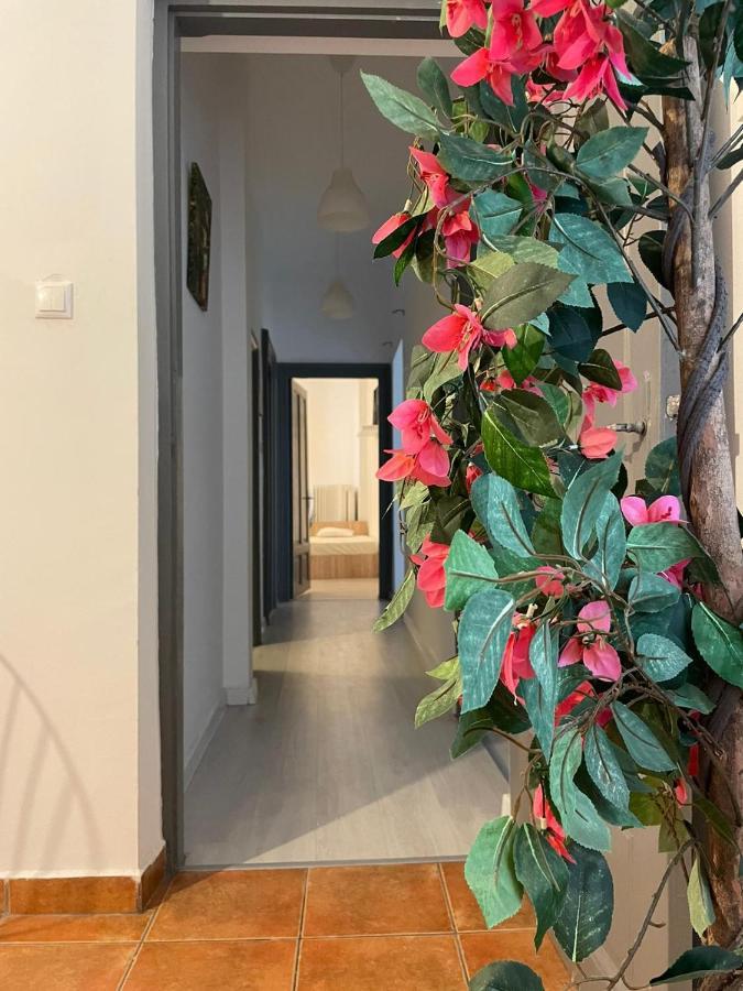 Outstanding 3Br Ultracentral Cityview Balcony Aaa Apartment Букурещ Екстериор снимка